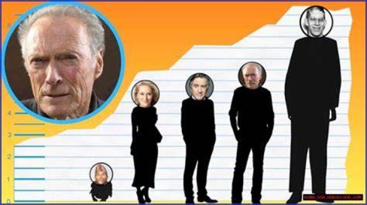 Unveiling The Secrets Of Musk Height: Discoveries And Insights Await
